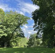 heilanstalt-gehlsheim-richtung-der-marienkirche-in-rostock-foto-de-veer-lakd.jpg